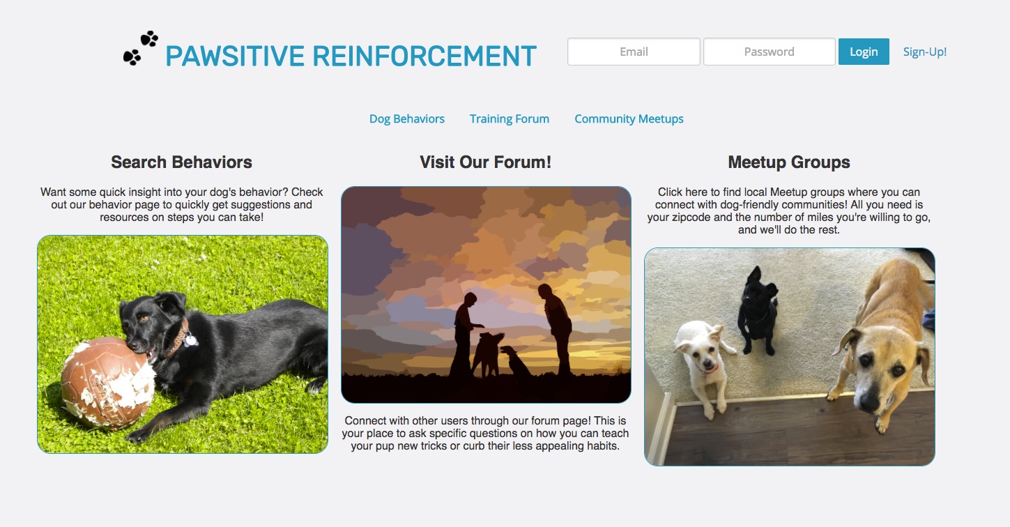 Pawsitive Reinforcement